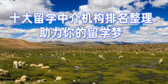 2026年长沙研究生留学中介排名解析对劲度高的机